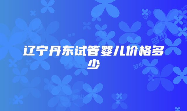 辽宁丹东试管婴儿价格多少