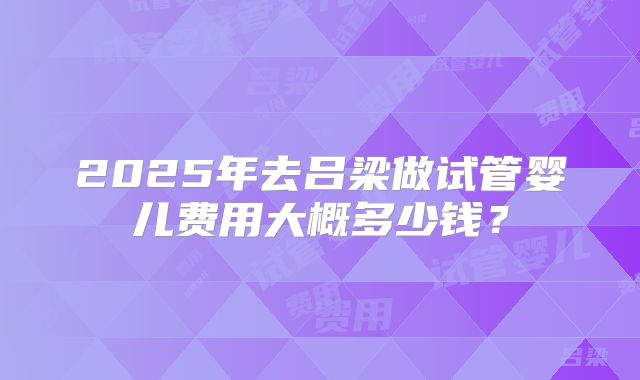 2025年去吕梁做试管婴儿费用大概多少钱？