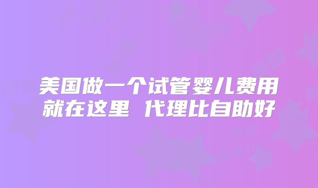 美国做一个试管婴儿费用就在这里 代理比自助好