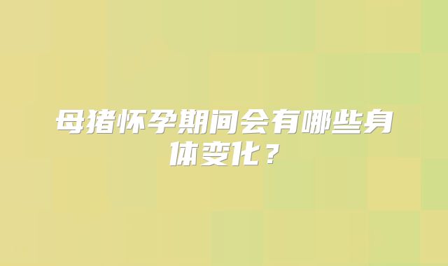 母猪怀孕期间会有哪些身体变化?