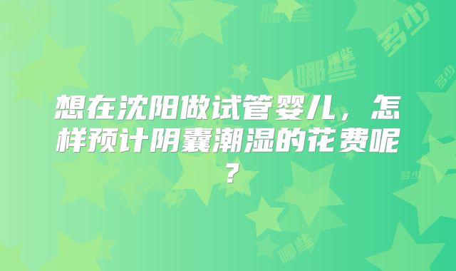 想在沈阳做试管婴儿，怎样预计阴囊潮湿的花费呢？