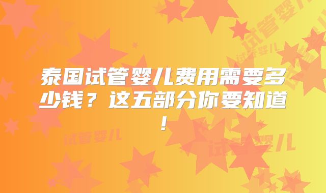 泰国试管婴儿费用需要多少钱？这五部分你要知道!
