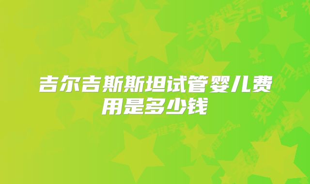 吉尔吉斯斯坦试管婴儿费用是多少钱