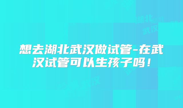 想去湖北武汉做试管-在武汉试管可以生孩子吗！