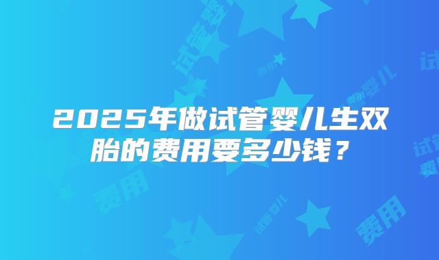 2025年做试管婴儿生双胎的费用要多少钱?