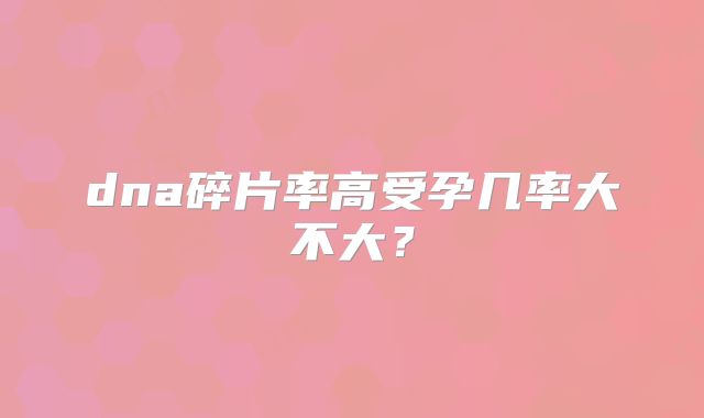 dna碎片率高受孕几率大不大？