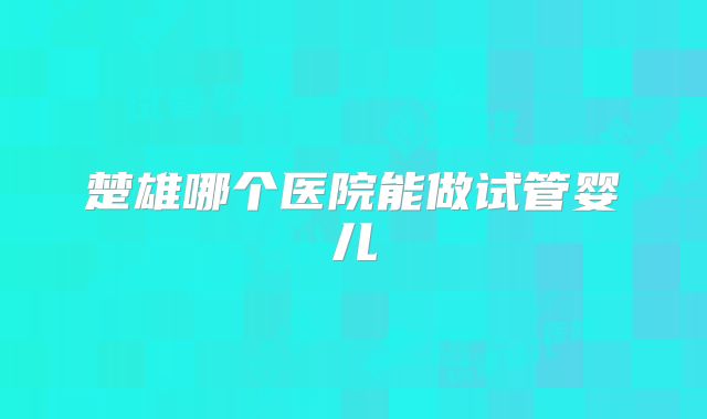 楚雄哪个医院能做试管婴儿