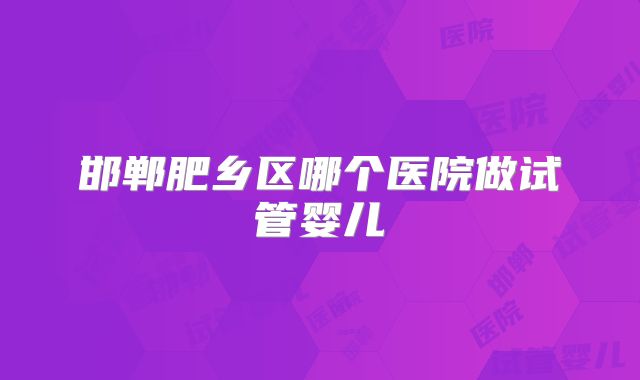 邯郸肥乡区哪个医院做试管婴儿