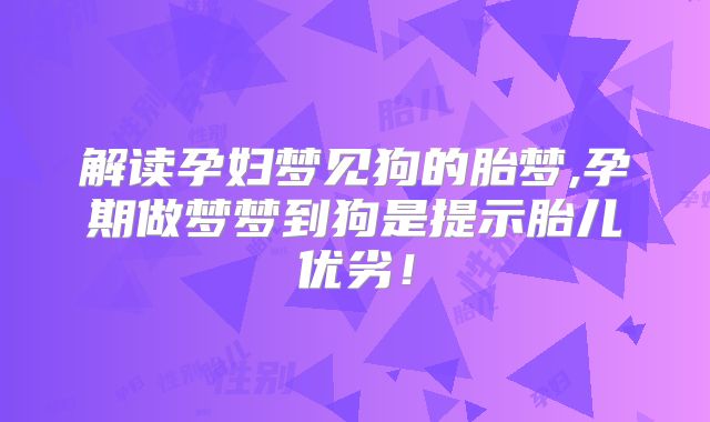 解读孕妇梦见狗的胎梦,孕期做梦梦到狗是提示胎儿优劣!
