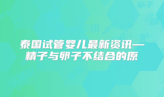 泰国试管婴儿最新资讯—精子与卵子不结合的原