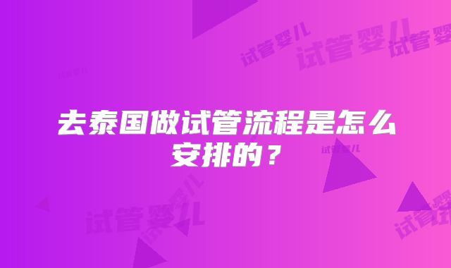 去泰国做试管流程是怎么安排的？