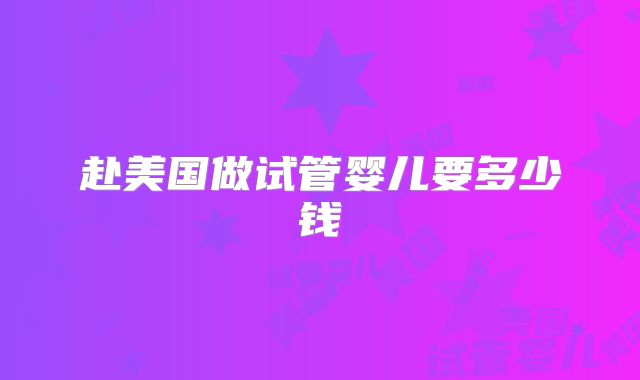 赴美国做试管婴儿要多少钱