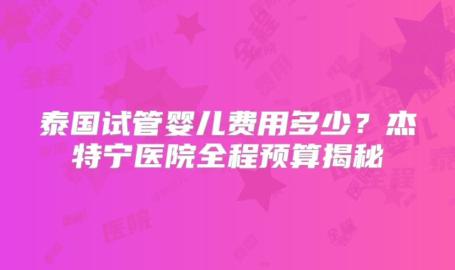 泰国试管婴儿费用多少？杰特宁医院全程预算揭秘