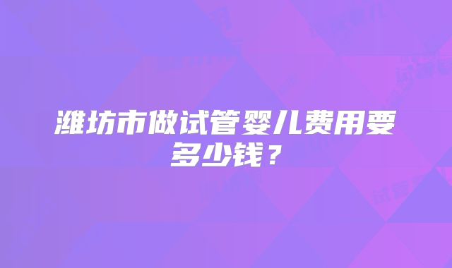 潍坊市做试管婴儿费用要多少钱？
