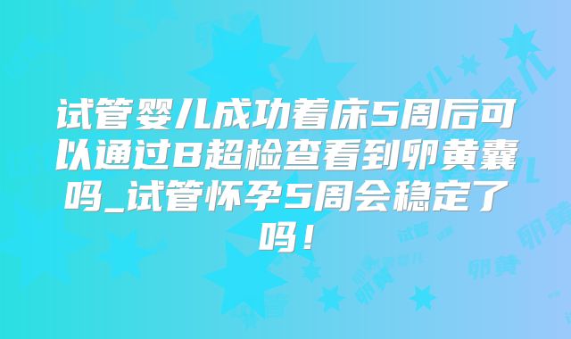 试管婴儿成功着床5周后可以通过B超检查看到卵黄囊吗_试管怀孕5周会稳定了吗！