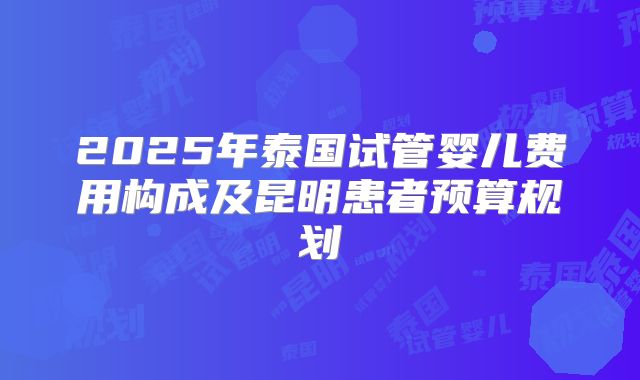 2025年泰国试管婴儿费用构成及昆明患者预算规划