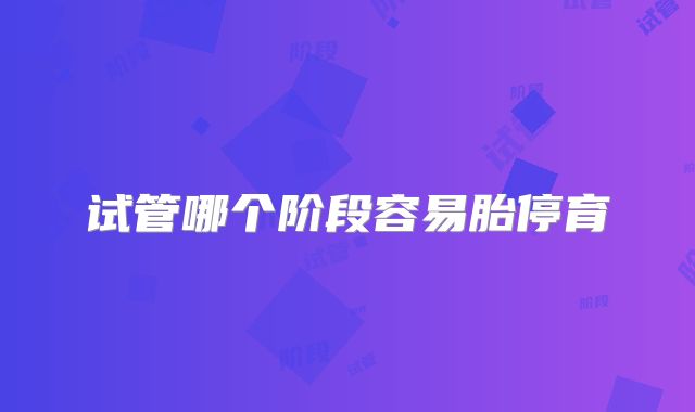 试管哪个阶段容易胎停育