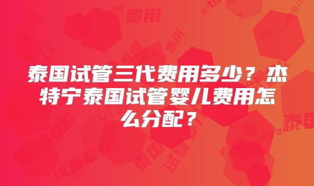 泰国试管三代费用多少？杰特宁泰国试管婴儿费用怎么分配？