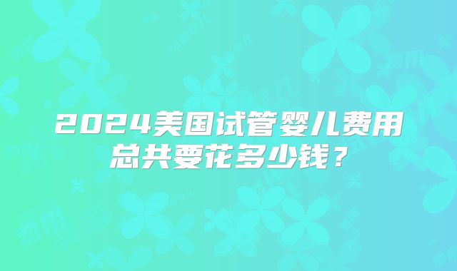 2024美国试管婴儿费用总共要花多少钱?