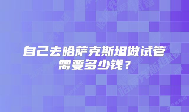 自己去哈萨克斯坦做试管需要多少钱？