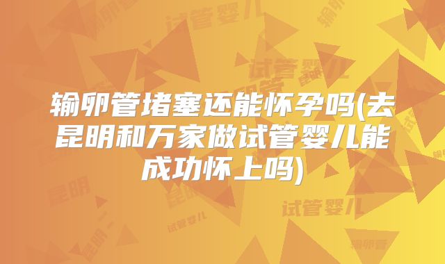 输卵管堵塞还能怀孕吗(去昆明和万家做试管婴儿能成功怀上吗)