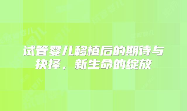 试管婴儿移植后的期待与抉择，新生命的绽放