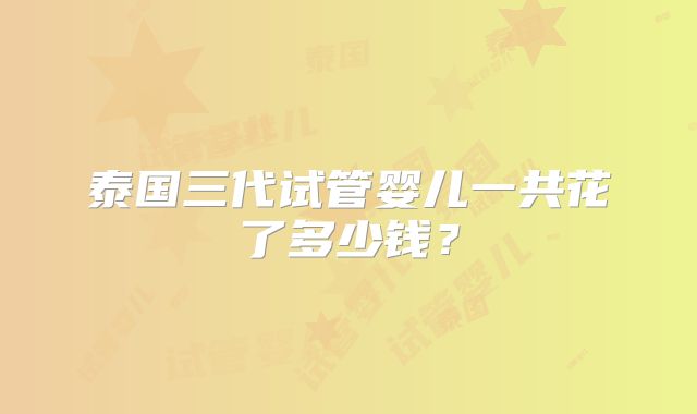 泰国三代试管婴儿一共花了多少钱?