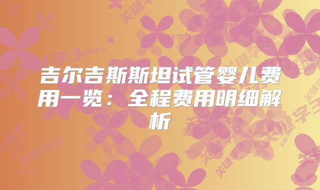 吉尔吉斯斯坦试管婴儿费用一览:全程费用明细解析