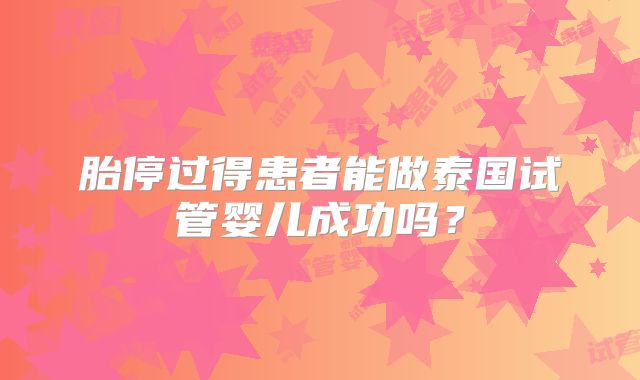 胎停过得患者能做泰国试管婴儿成功吗？