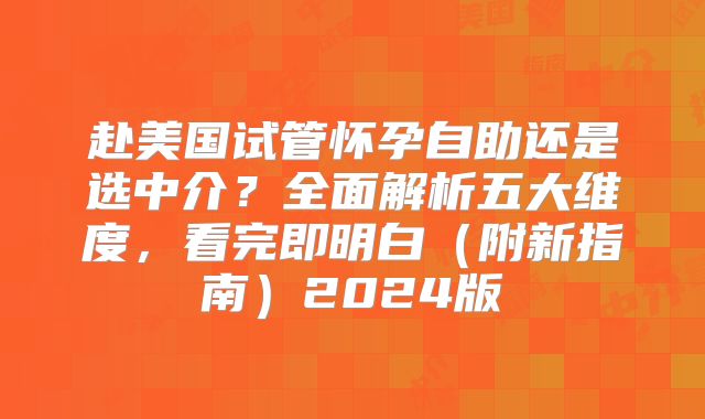 赴美国试管怀孕自助还是选中介?全面解析五大维度,看完即明白(附新指南)2024版