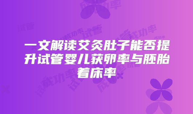 一文解读艾灸肚子能否提升试管婴儿获卵率与胚胎着床率