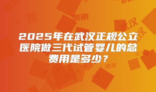 2025年在武汉正规公立医院做三代试管婴儿的总费用是多少？