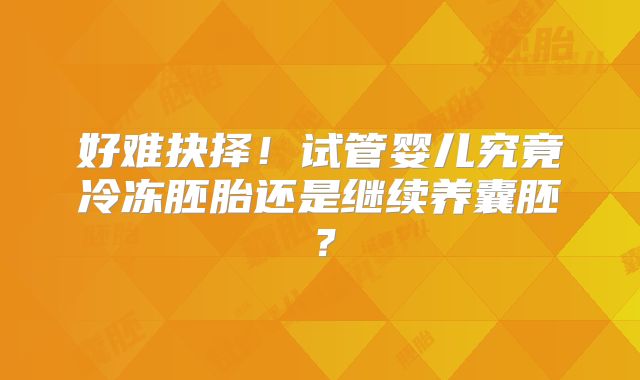 好难抉择！试管婴儿究竟冷冻胚胎还是继续养囊胚？