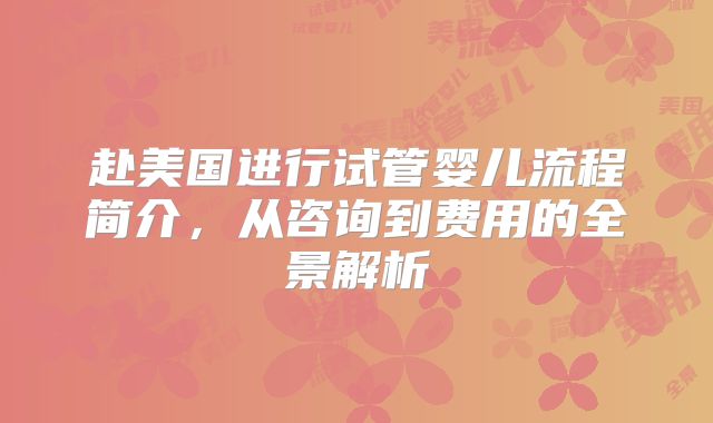 赴美国进行试管婴儿流程简介，从咨询到费用的全景解析