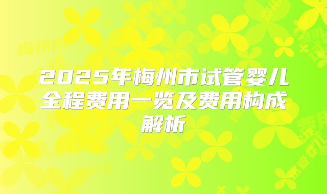 2025年梅州市试管婴儿全程费用一览及费用构成解析