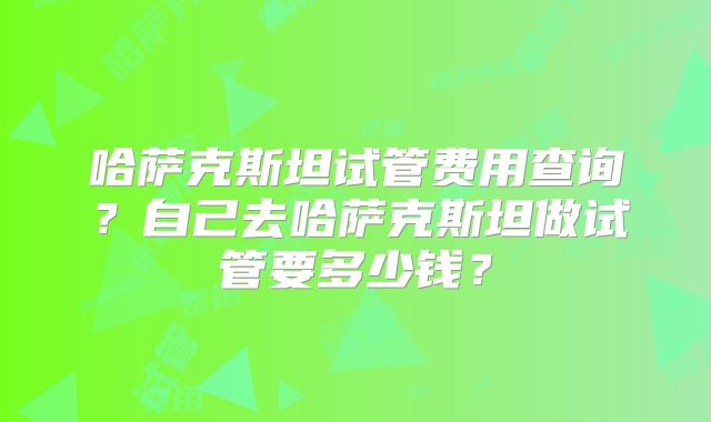 哈萨克斯坦试管费用查询？自己去哈萨克斯坦做试管要多少钱？