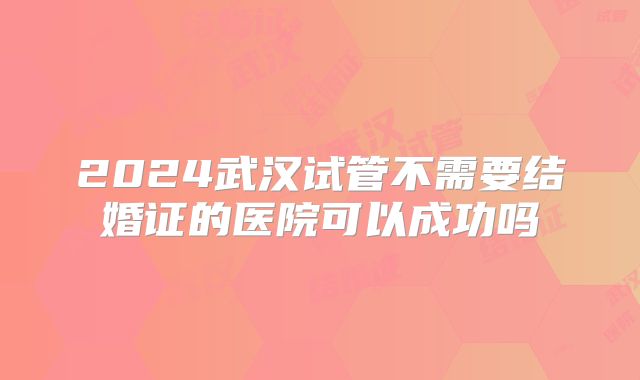 2024武汉试管不需要结婚证的医院可以成功吗