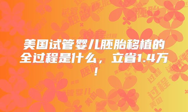 美国试管婴儿胚胎移植的全过程是什么，立省1.4万！