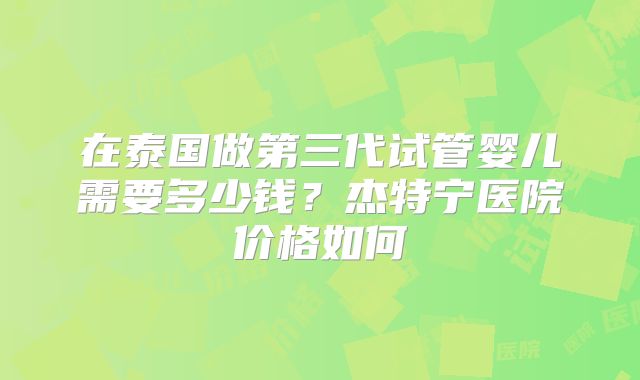 在泰国做第三代试管婴儿需要多少钱?杰特宁医院价格如何