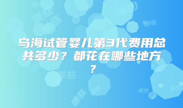 乌海试管婴儿第3代费用总共多少？都花在哪些地方？