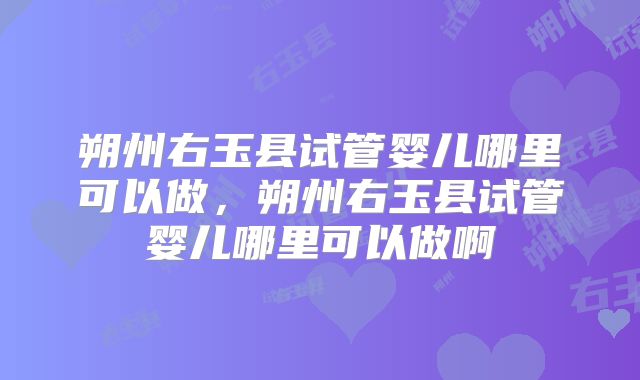 朔州右玉县试管婴儿哪里可以做，朔州右玉县试管婴儿哪里可以做啊