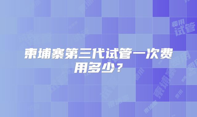 柬埔寨第三代试管一次费用多少？