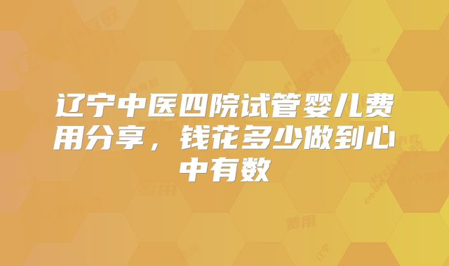 辽宁中医四院试管婴儿费用分享，钱花多少做到心中有数