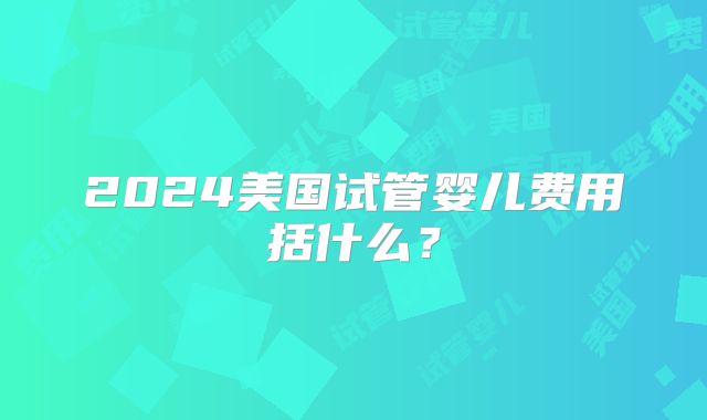 2024美国试管婴儿费用括什么?