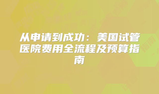 从申请到成功:美国试管医院费用全流程及预算指南