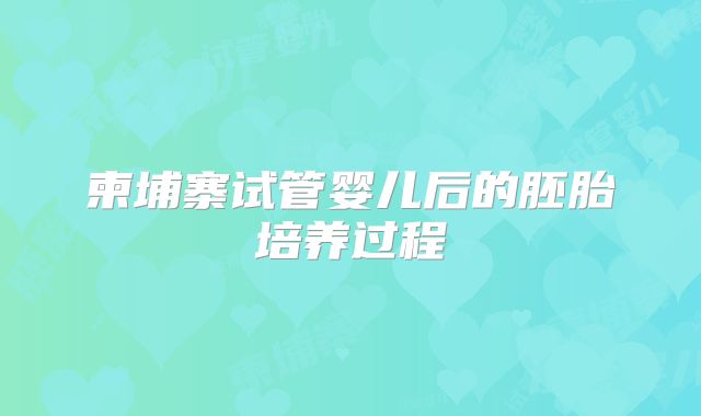 柬埔寨试管婴儿后的胚胎培养过程