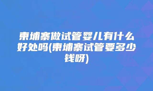 柬埔寨做试管婴儿有什么好处吗(柬埔寨试管要多少钱呀)
