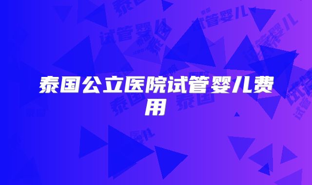 泰国公立医院试管婴儿费用