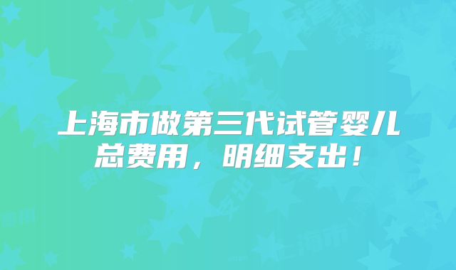 上海市做第三代试管婴儿总费用，明细支出！