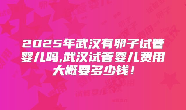 2025年武汉有卵子试管婴儿吗,武汉试管婴儿费用大概要多少钱!